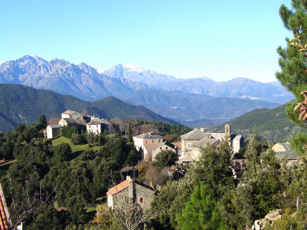 Gavignano Nuvellaghju 2022