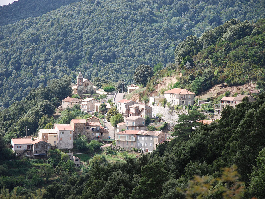 Zevaco Nuvellaghju 2024