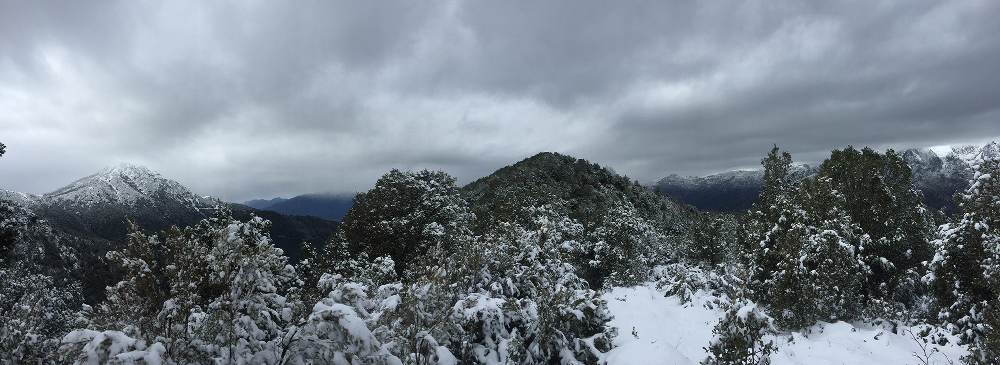 La Corse sous la neige