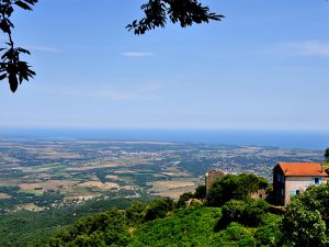 Prunelli di Fiumorbo