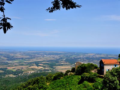 Prunelli di Fiumorbo