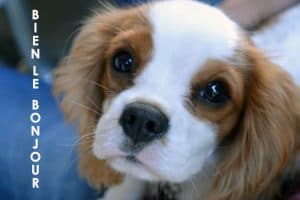 Je rentre de vacances