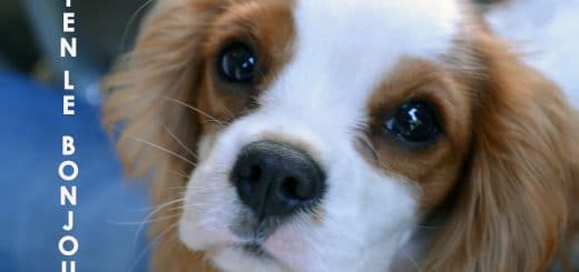 Je rentre de vacances